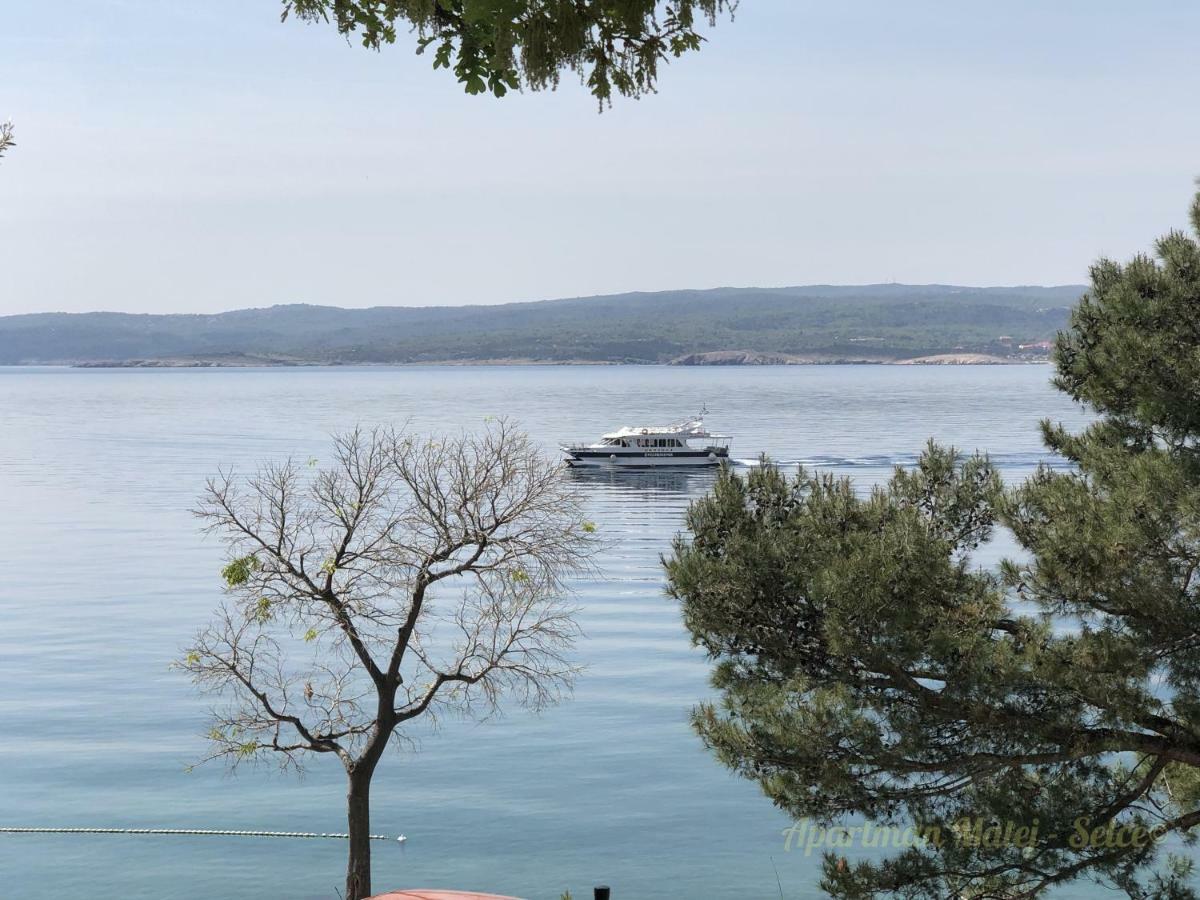 Apartman Matej -Selce Εξωτερικό φωτογραφία